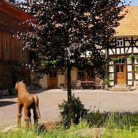 Fachwerkhaus Mit Rustikalem Weinkeller Und Garten, Ganze Unterkunft, Gute Lage Ferienhaus *