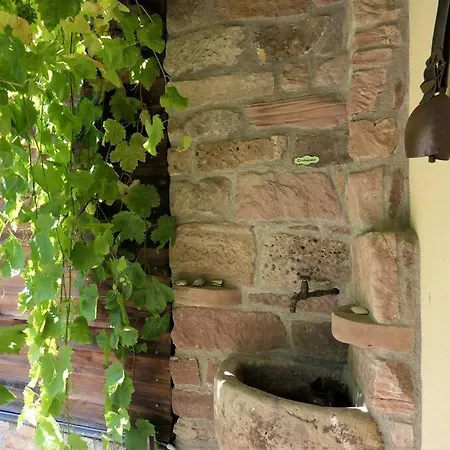 Fachwerkhaus Mit Rustikalem Weinkeller Und Garten, Ganze Unterkunft, Gute Lage Nyaraló Laucha