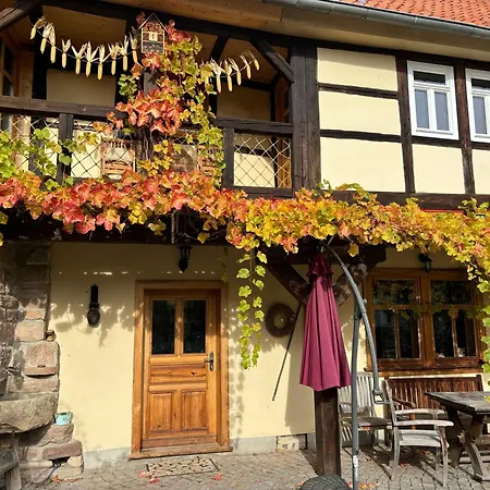 Fachwerkhaus Mit Rustikalem Weinkeller Und Garten, Ganze Unterkunft, Gute Lage בית נופש Laucha (Thuringia)