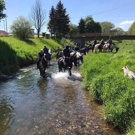 Fachwerkhaus Mit Rustikalem Weinkeller Und Garten, Ganze Unterkunft, Gute Lage * Laucha (Thuringia)