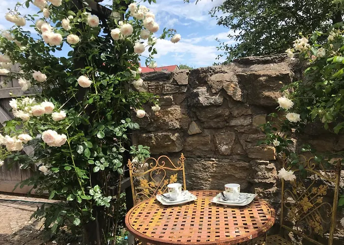 Fachwerkhaus Mit Rustikalem Weinkeller Und Garten, Ganze Unterkunft, Gute Lage * Laucha (Thuringia)